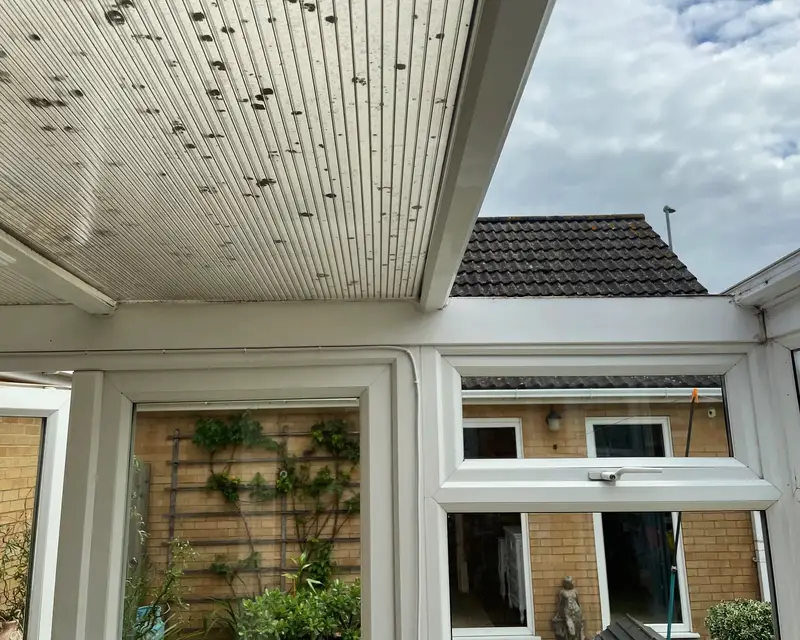 Looking up at stained polycarbonate sheets in a conservatory roof
